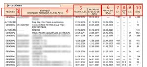 Informe de vida laboral. Qué es, para qué sirve y cómo solicitarlo 1 Vida laboral documento